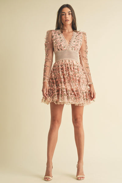 Floral Lace Embroidered Mini Dress