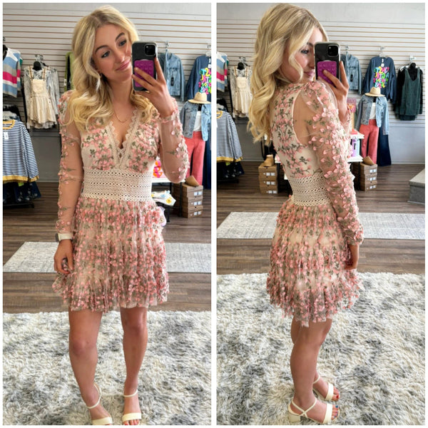 Floral Lace Embroidered Mini Dress