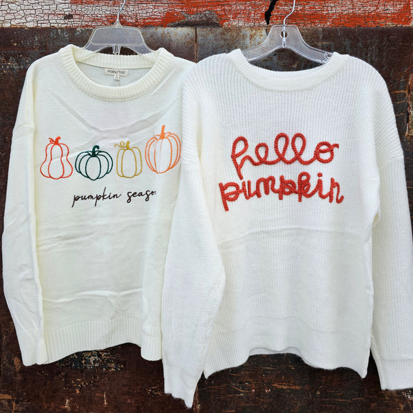 Pumpkin Season Embroidered Sweater