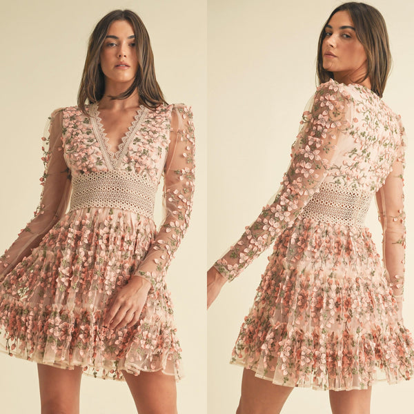 Floral Lace Embroidered Mini Dress